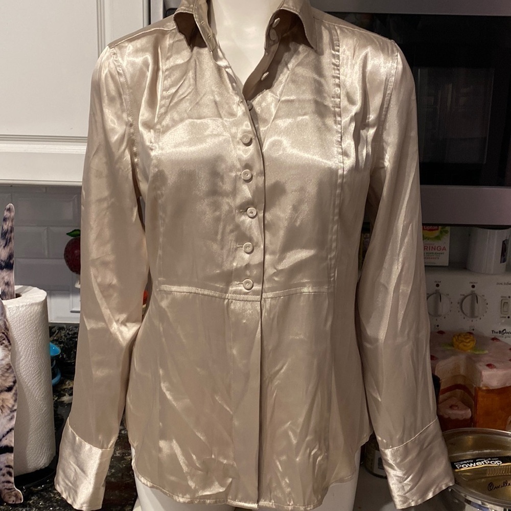 R womens Rafaela dressy long sleeve shiny button up solid tan blouse size 14